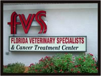 Florida Veterinary Specialists/Tampa Florida